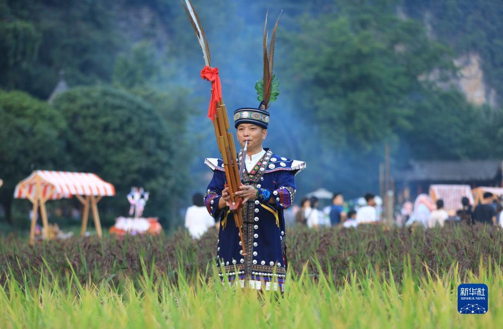 至尊在线